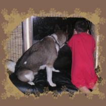 Boy and Dog Looking out the Window